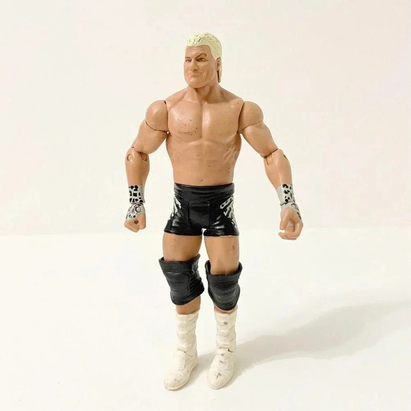 2010 Mattel  WWE Wrestling Dolph Ziggler Figure WWF WCW - Picture 1 of 16